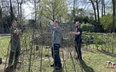 Unser Gartentag 2026